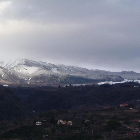 기아레 Il Ciliegio Dell 'Etna 게스트하우스 외부 사진